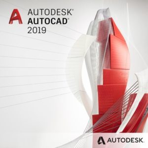 A 2019